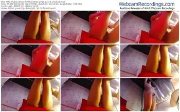 myfreecams-viktoriafox-12-18-2024-16-16-32