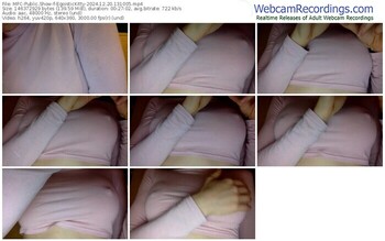 myfreecams-egoistickitty-12-20-2024-13-10-05