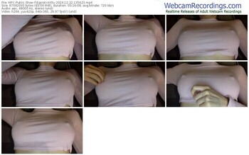 myfreecams-egoistickitty-12-22-2024-13-56-23