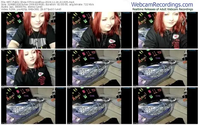 myfreecams-princessbluu-12-24-2024-21-16-35