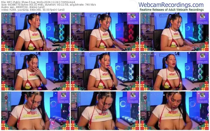 myfreecams-sue_wolls-12-24-2024-17-03-59