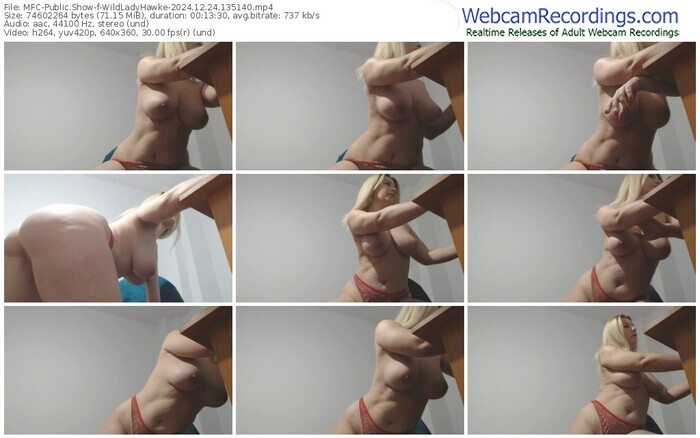 myfreecams-wildladyhawke-12-24-2024-13-51-40