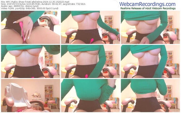 myfreecams-hotcafedelina-12-25-2024-15-20-23