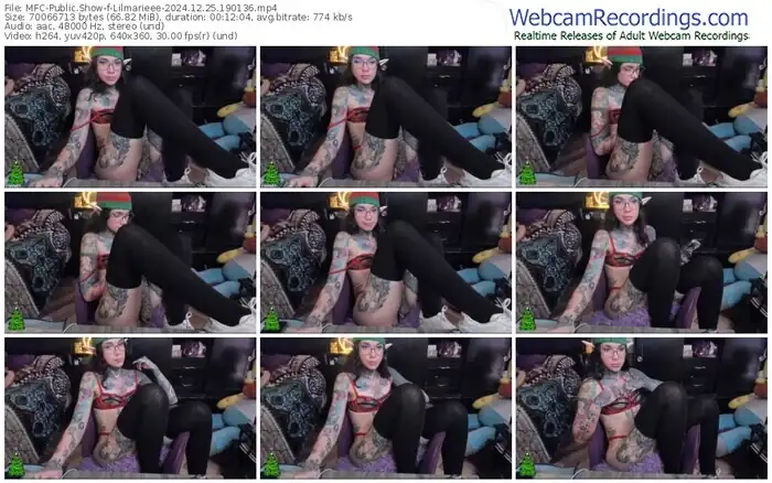 myfreecams-lilmarieee-12-25-2024-19-01-36