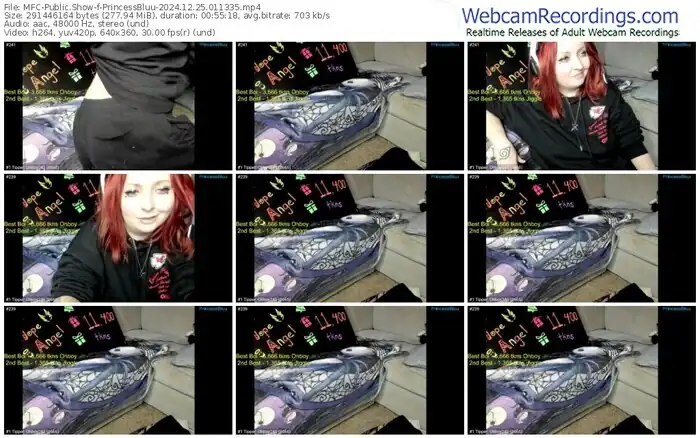 myfreecams-princessbluu-12-25-2024-01-13-35