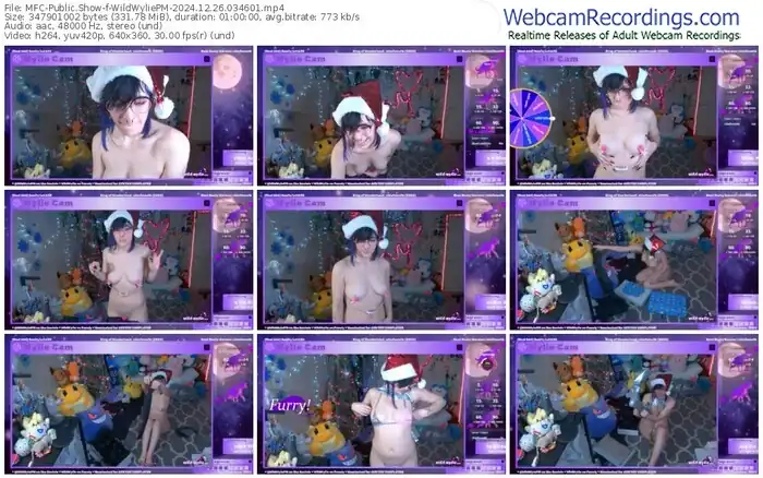 myfreecams-wildwyliepm-12-26-2024-03-46-01