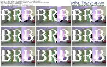 myfreecams-bertaowenn-12-27-2024-16-42-33