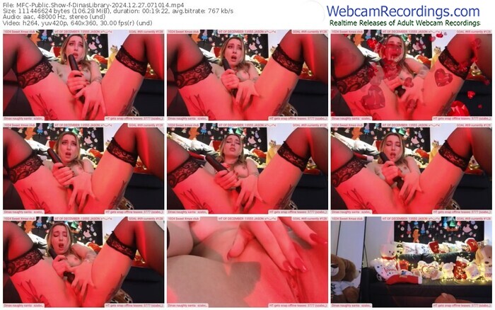 myfreecams-dinaslibrary-12-27-2024-07-10-14