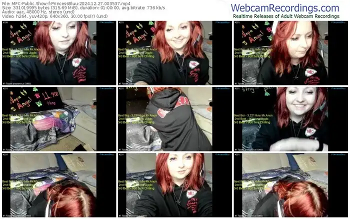 myfreecams-princessbluu-12-27-2024-00-35-37