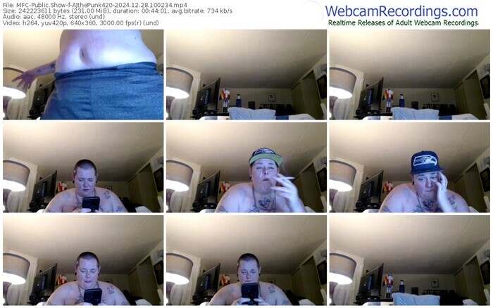 myfreecams-ajthepunk420-12-28-2024-10-02-34