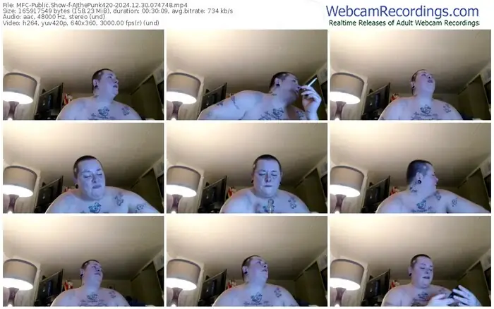 myfreecams-ajthepunk420-12-30-2024-07-47-48