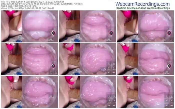 myfreecams-danigirl866-12-30-2024-21-39-02