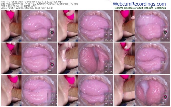 myfreecams-danigirl866-12-30-2024-22-46-26