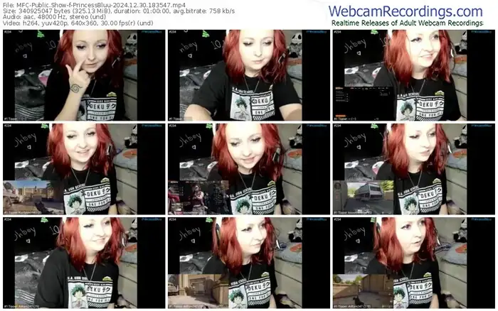 myfreecams-princessbluu-12-30-2024-18-35-47