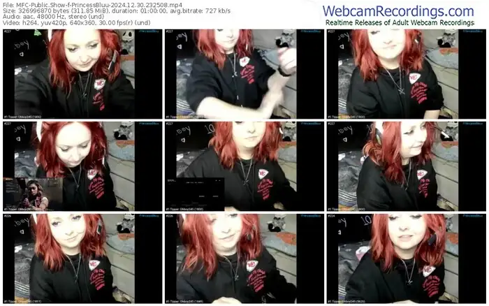 myfreecams-princessbluu-12-30-2024-23-25-08