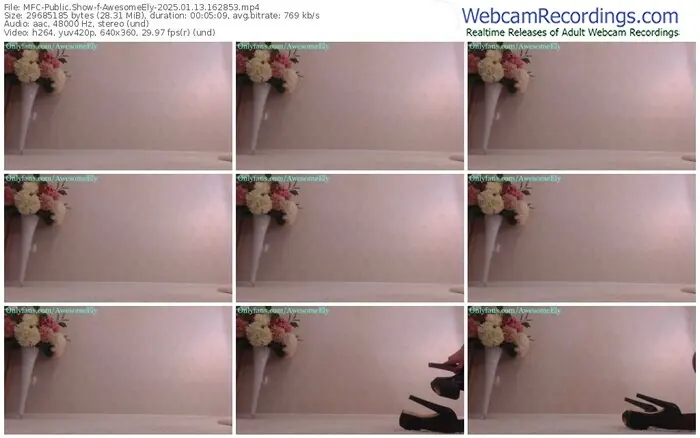 myfreecams-awesomeely-01-13-2025-16-28-53
