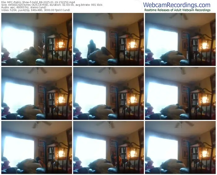 myfreecams-geld_88-01-19-2025-15-22-52