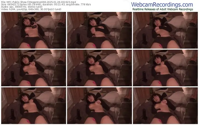 myfreecams-meganmei666-01-26-2025-03-16-23