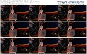 myfreecams-dragonfly9-01-27-2025-01-29-17