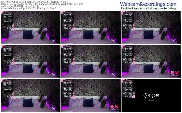 myfreecams-igotperfectit-01-28-2025-19-38-14