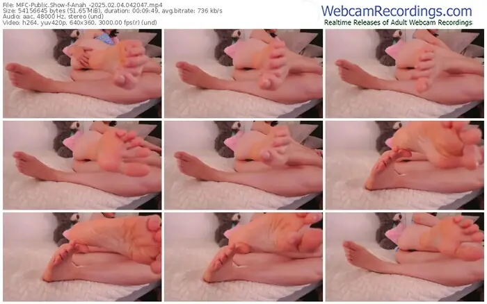 myfreecams-anah_-02-04-2025-04-20-47