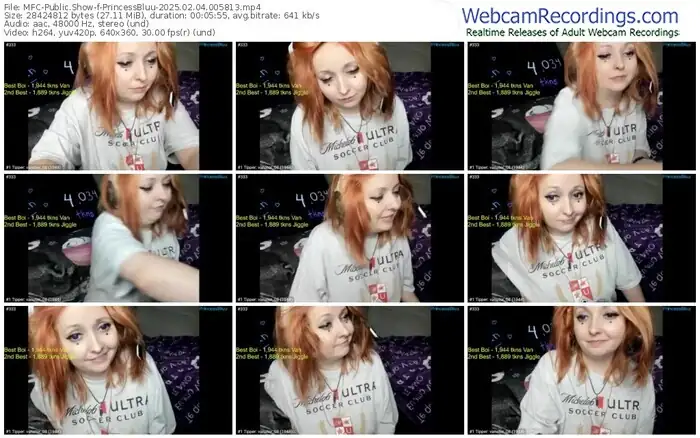 myfreecams-princessbluu-02-04-2025-00-58-13