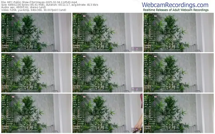 myfreecams-torrihayes-02-04-2025-11-45-43