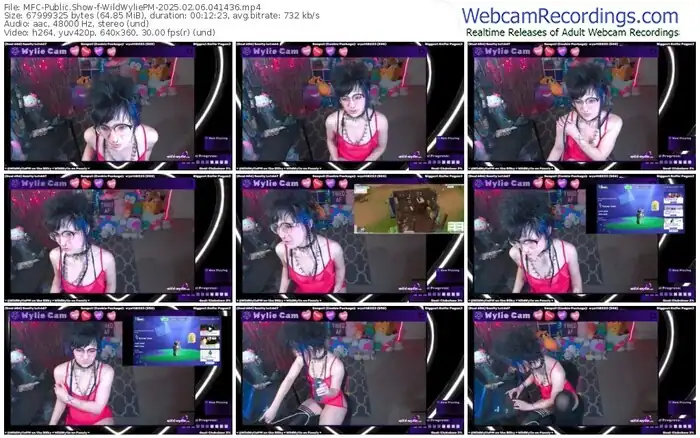 myfreecams-wildwyliepm-02-06-2025-04-14-36
