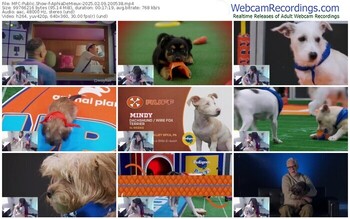 myfreecams-aphiademieux-02-09-2025-20-05-38