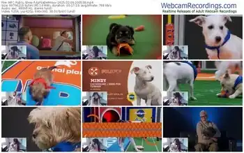 myfreecams-aphiademieux-02-09-2025-20-05-38