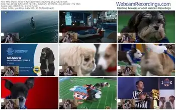 myfreecams-aphiademieux-02-09-2025-22-16-22