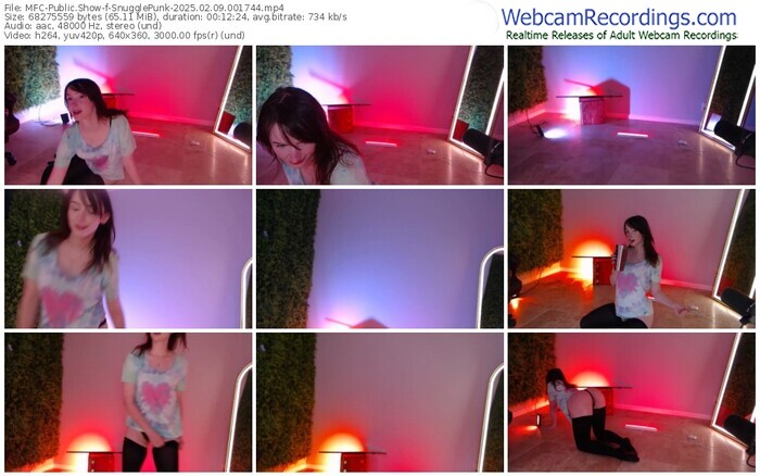 myfreecams-snugglepunk-02-09-2025-00-17-44