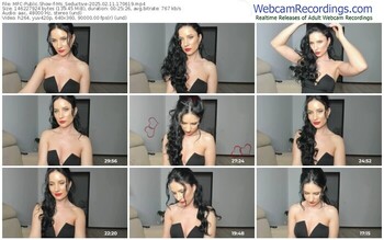 myfreecams-ms_seductive-02-11-2025-17-06-19