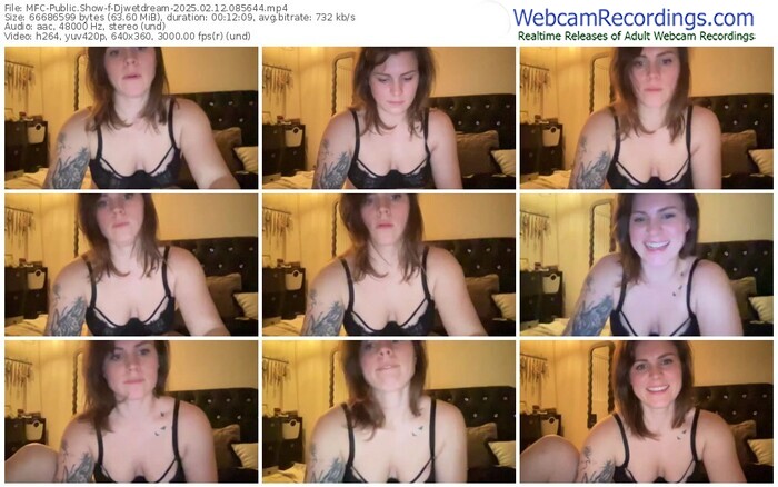 myfreecams-djwetdream-02-12-2025-08-56-44