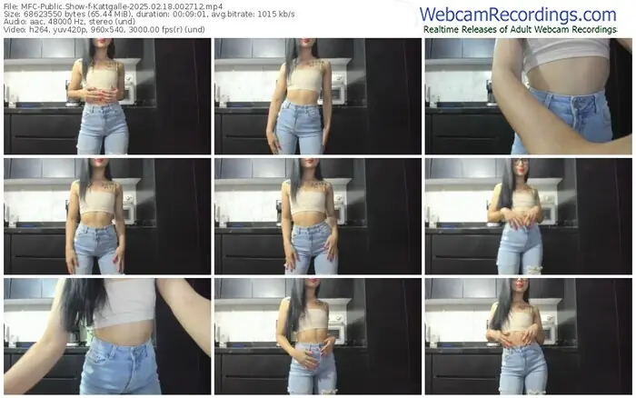 myfreecams-kattgalle-02-18-2025-00-27-12