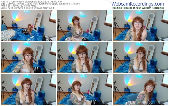 myfreecams-skylarshark-02-18-2025-17-13-09