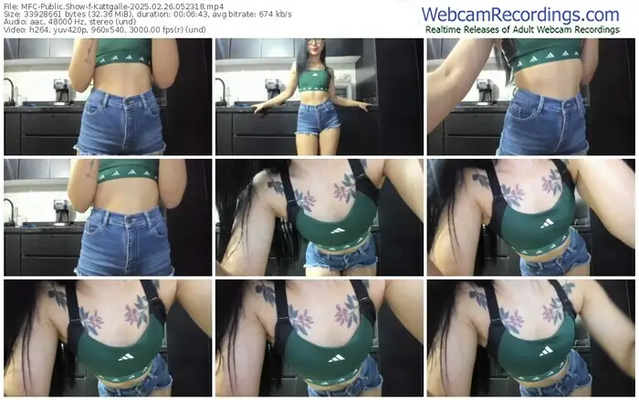 myfreecams-kattgalle-02-26-2025-05-23-18