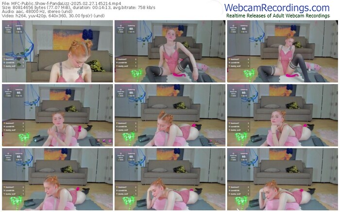 myfreecams-pandalizz-02-27-2025-14-52-14