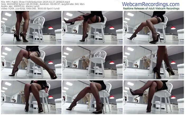 myfreecams-silkseduction-02-27-2025-20-58-24