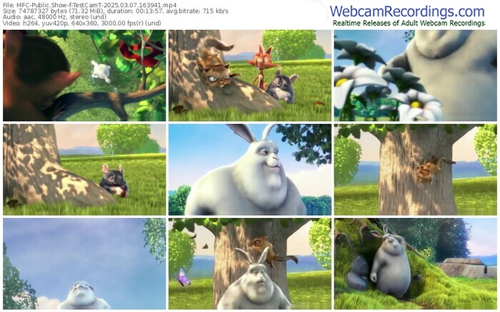 myfreecams-testcamt-03-07-2025-16-39-41