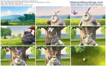 myfreecams-testcamt-03-07-2025-16-55-40