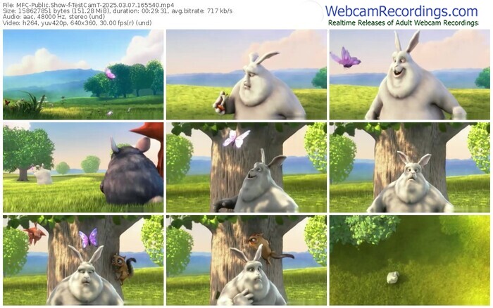 myfreecams-testcamt-03-07-2025-16-55-40