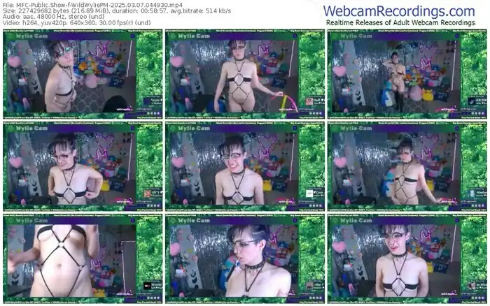 myfreecams-wildwyliepm-03-07-2025-04-49-30