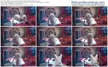 myfreecams-hollyhanna-03-09-2025-22-18-40