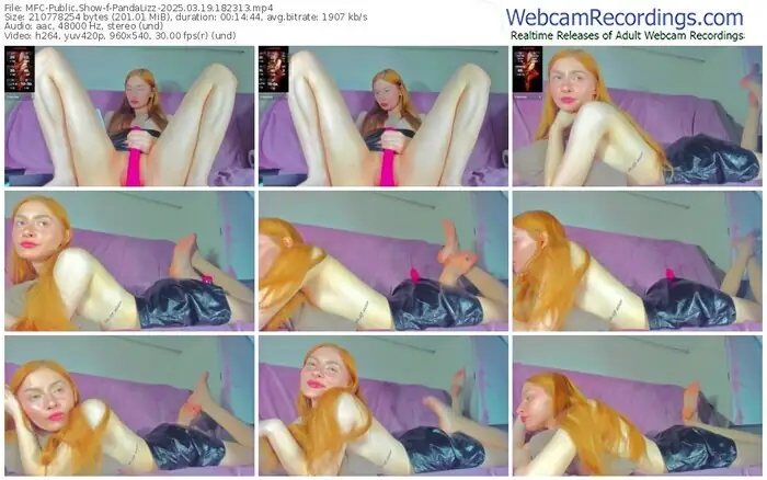 myfreecams-pandalizz-03-19-2025-18-23-13