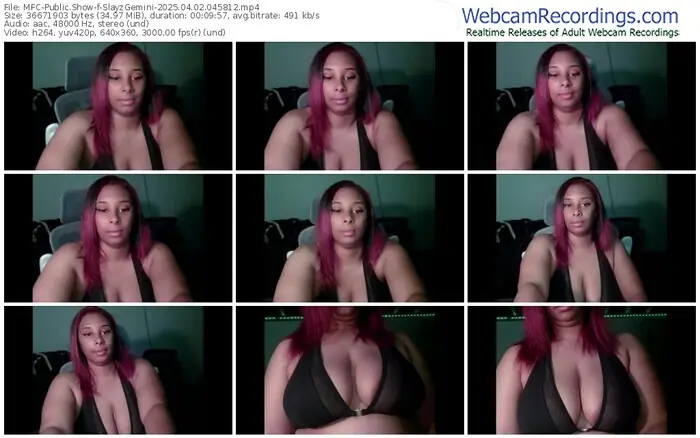 myfreecams-slayzgemini-04-02-2025-04-58-12