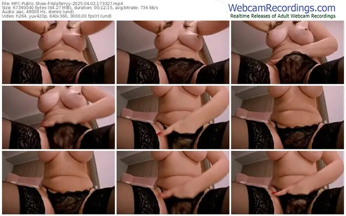 myfreecams-yalaterryy-04-02-2025-17-33-27