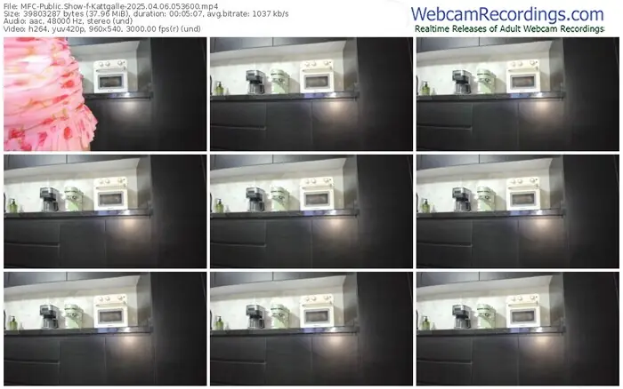 myfreecams-kattgalle-04-06-2025-05-36-00