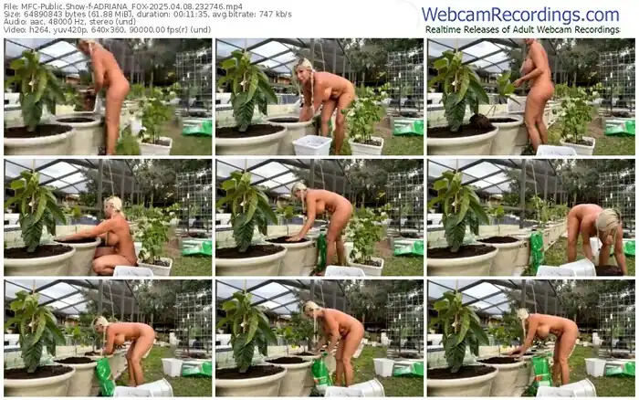 myfreecams-adriana_fox-04-08-2025-23-27-46