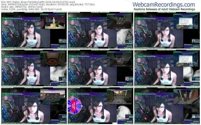myfreecams-wildwyliepm-04-08-2025-01-57-01